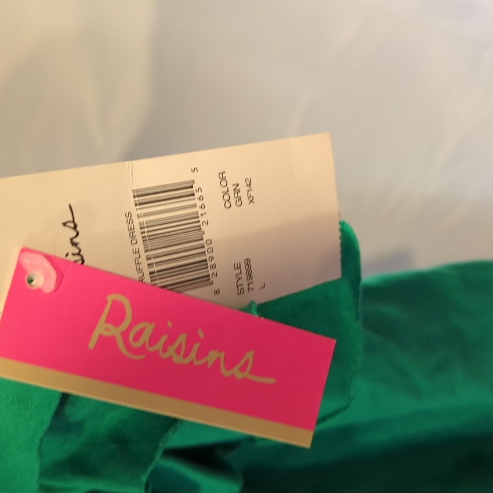 NWT Raisins Ruffle Dress - Size Large - Picture 4 of 6